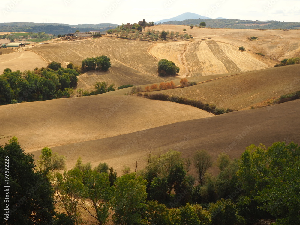 Obraz premium Tuscany