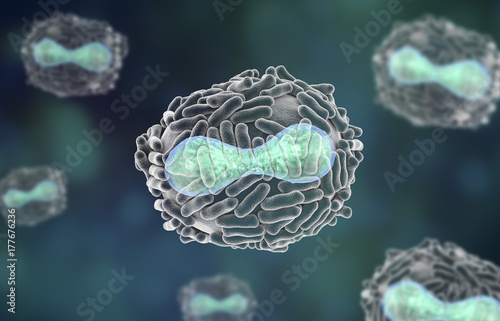 Variola virus, a virus from Orthopoxviridae family that causes smallpox, highly contagious disease eradicated by vaccination, 3D illustration photo