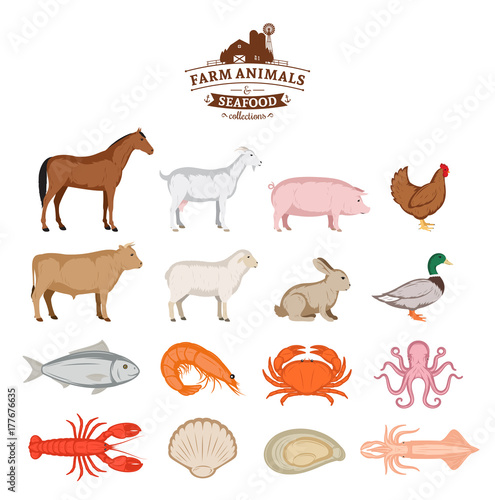 Vector farm animals and seafood collection