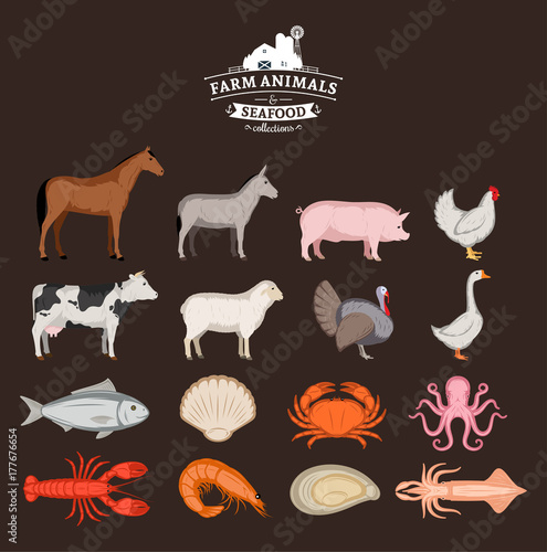 Vector farm animals and seafood collection