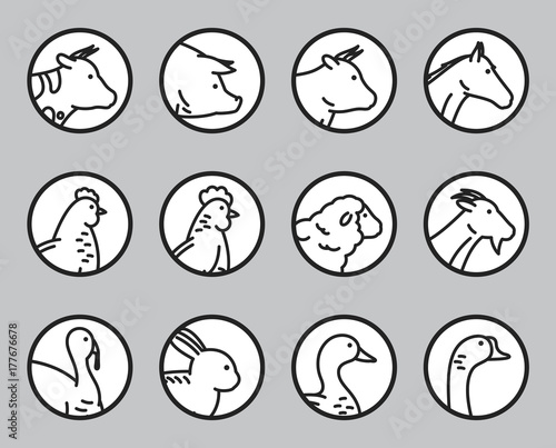 Vector farm animals icons collection