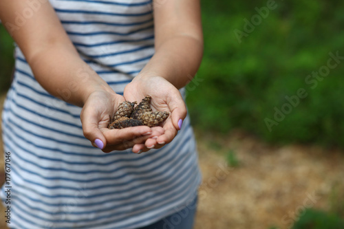 The girl is holding pine cones in her hands.