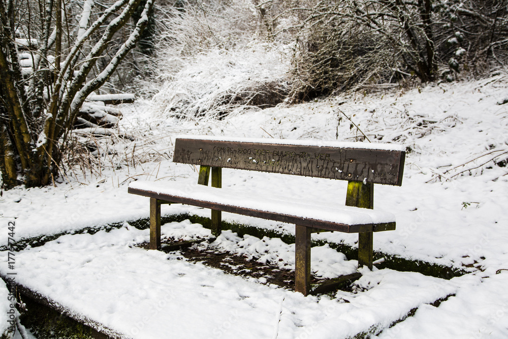 bench in wintertime