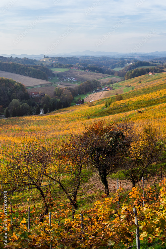 Weingärten in der Steiermark - Südsteirische Weinstrasse Weingärten in der Steiermark - Südsteirische Weinstrasse