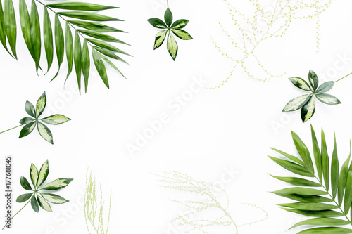 green palm leaf branches on white background. flat lay  top view