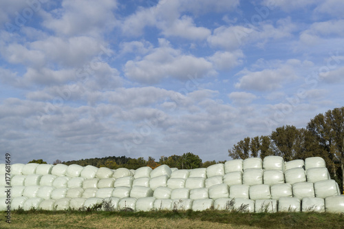 Bales of straw/ silage wrapped in white foil