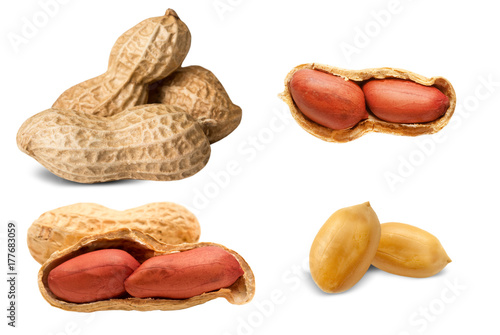 Photography peanuts isolated on white