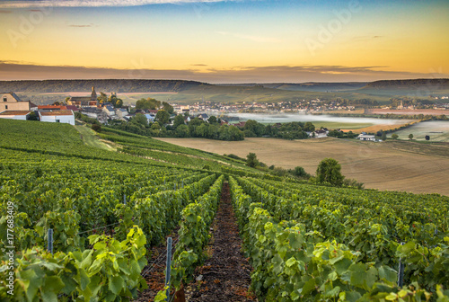 Champagne region in France. A beautiful view.