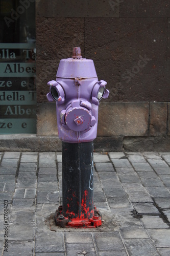 Obraz na płótnie Hydrant w salonie