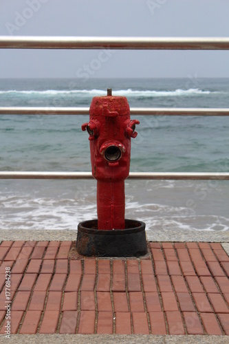 Obraz na płótnie Hydrant w salonie
