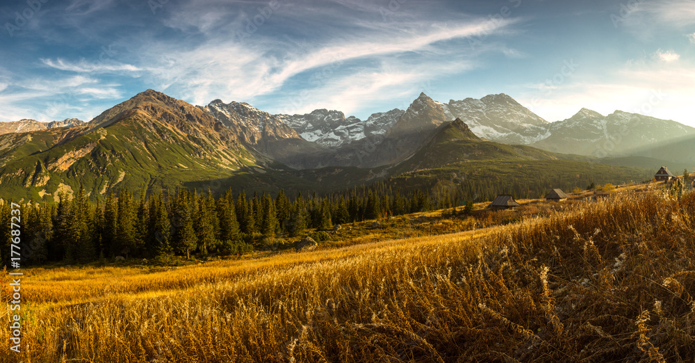 Fototapeta premium Hala Gąsienicowa w Tatrach, pora roku - jesień