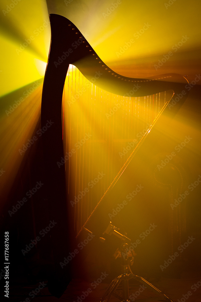 Electro harp in the rays of light
