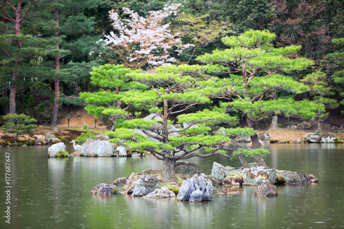 Fotografie One of 10 smaller islands of the Mirror Pond (Kyoko-chi lake) is in a magnificent Japanese strolling garden