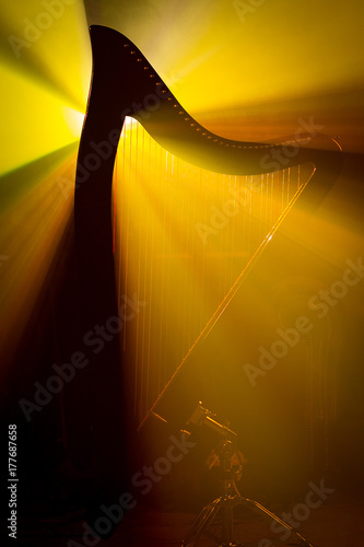 Electro harp in the rays of light