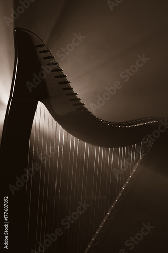Valokuvatapetti Electro harp in the rays of light