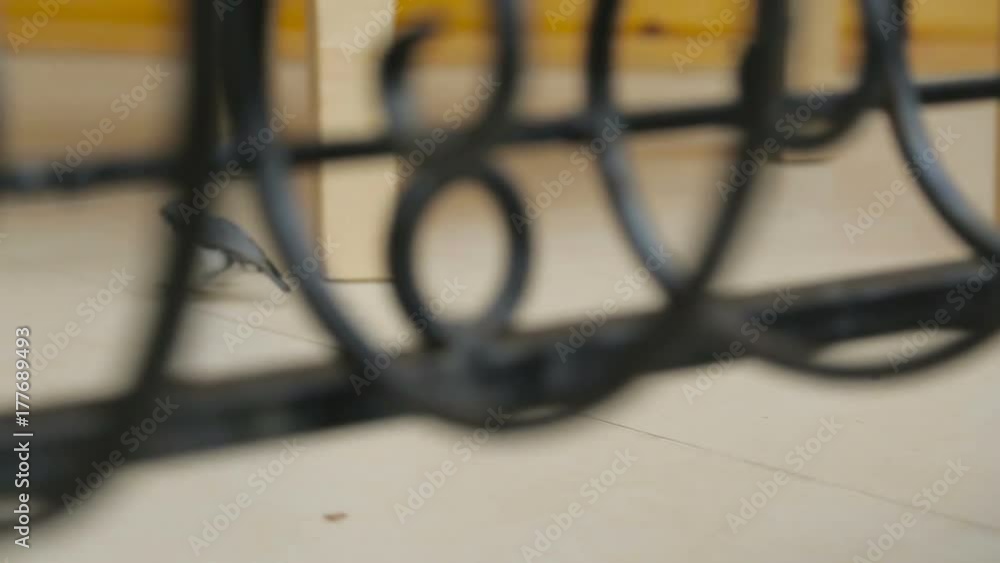 A little bird jumping looking for food_2 A little bird jumping looking for food_2