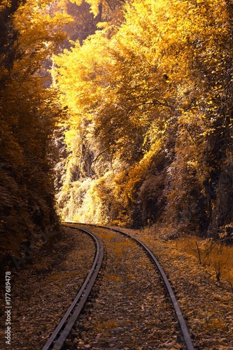 Fall railway in nature