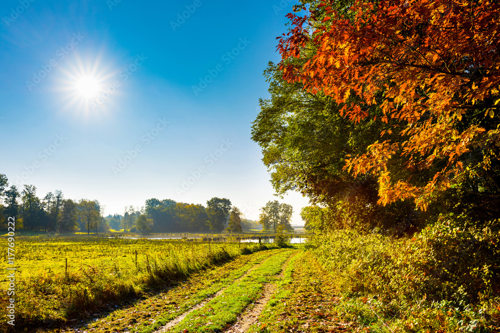 Landscape in autumn with trees, meadows and bright sun