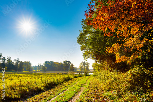 Fototapeta Naklejka Na Ścianę i Meble -  Landscape in autumn with trees, meadows and bright sun