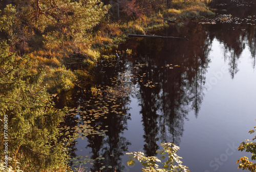 The surface of the autumn lake with the reflection of trees photo