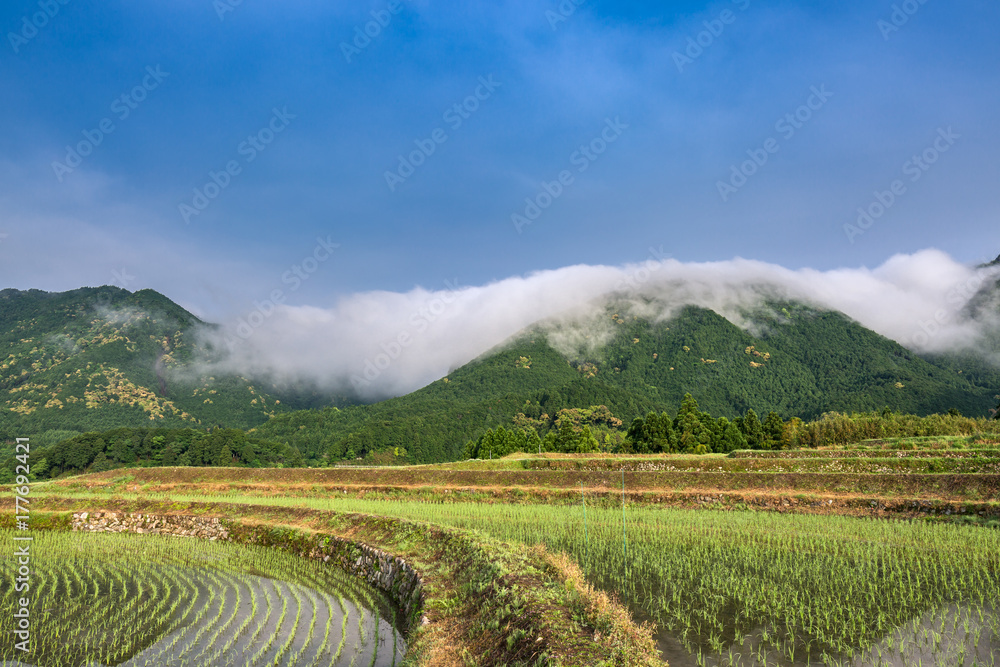 Fototapeta premium 風伝おろし
