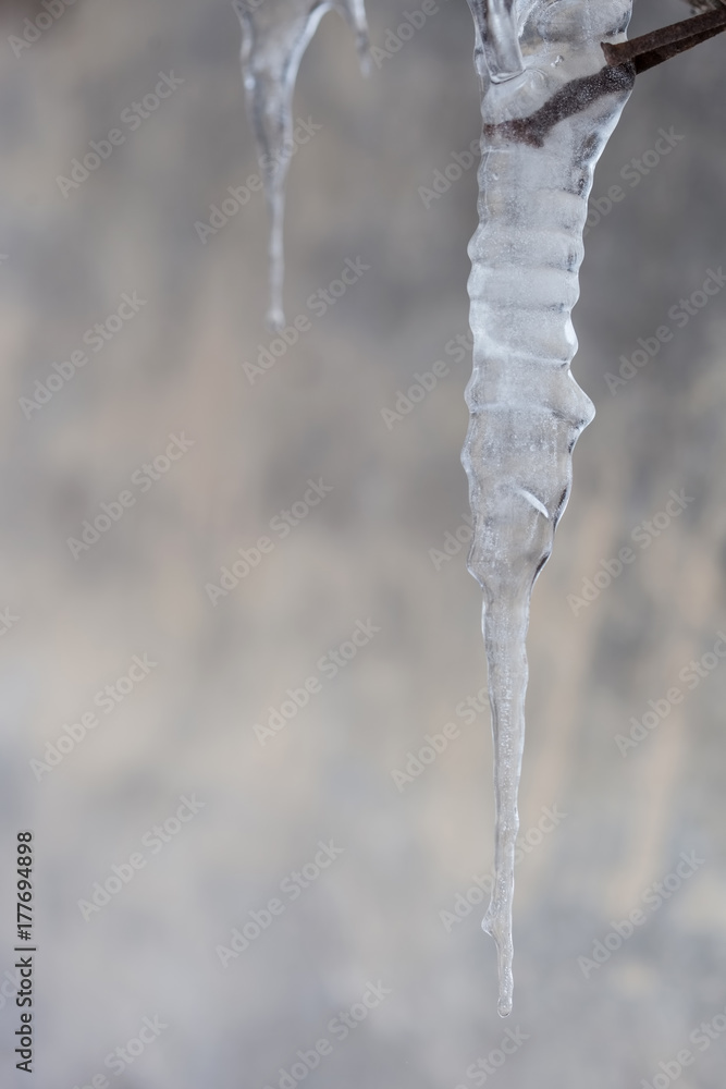 Beautiful shiny transparent icicles