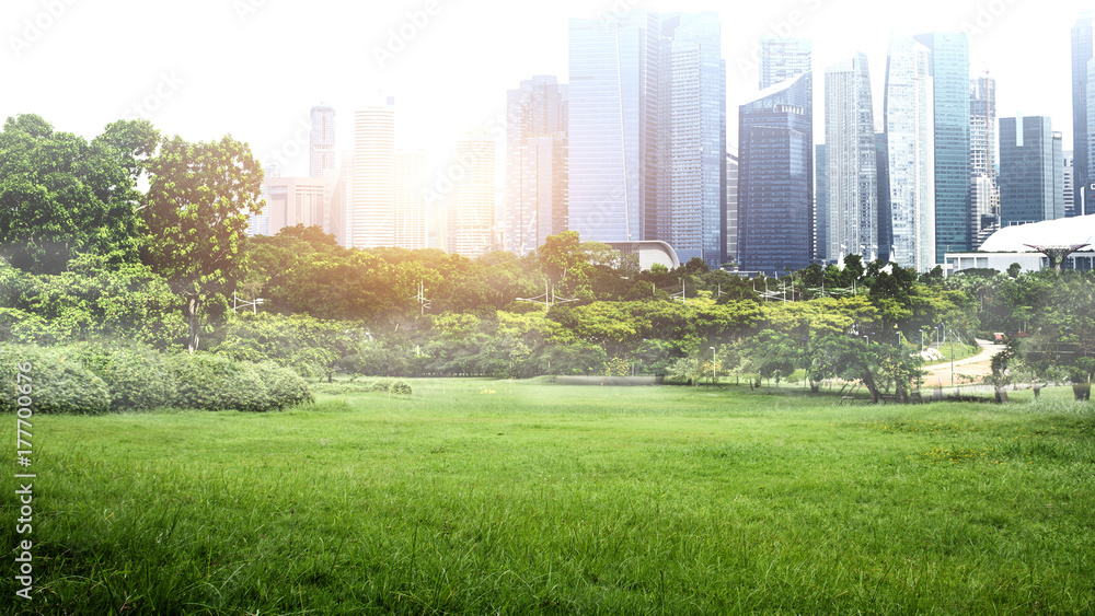 Green Park in City at Sunset, excercise and relax. Natural green plants landscape.