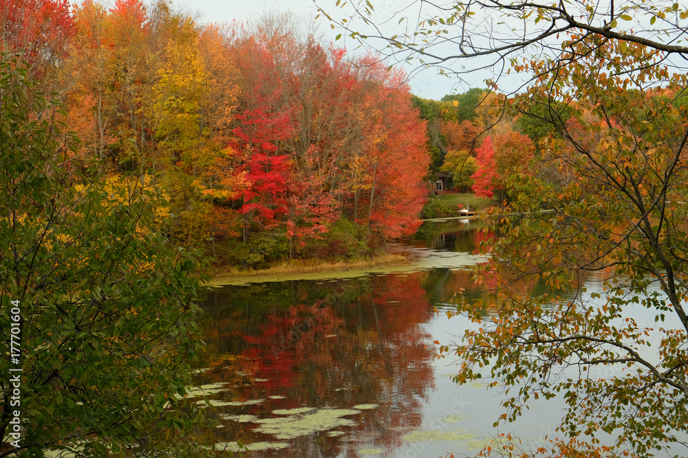 Fall color and reflection on a lake 9