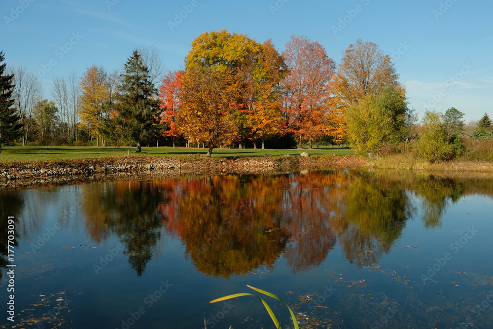 Fall colors reflection on pond 