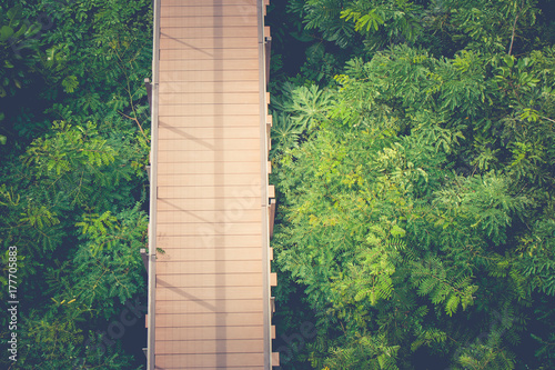 Top view wooden sky walk or walkway cross over treetop surrounded with green natural in vintage style.