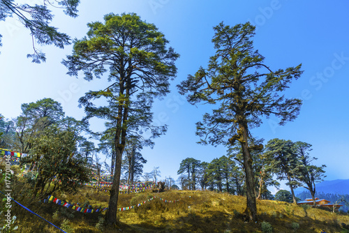 Dochula-Bhutan