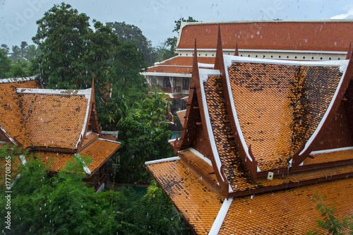 Strong tropical downpour in Thailand photo