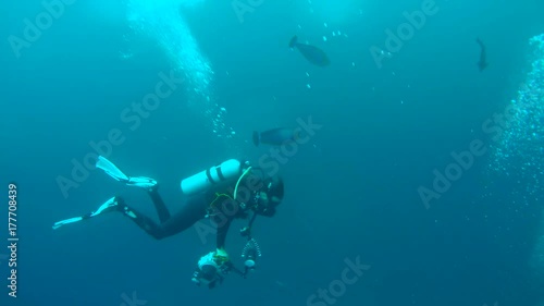 Wallpaper Mural Scuba diver swims with Bignose Unicornfish - Naso vlamingii, Indian Ocean, Maldives 
 Torontodigital.ca