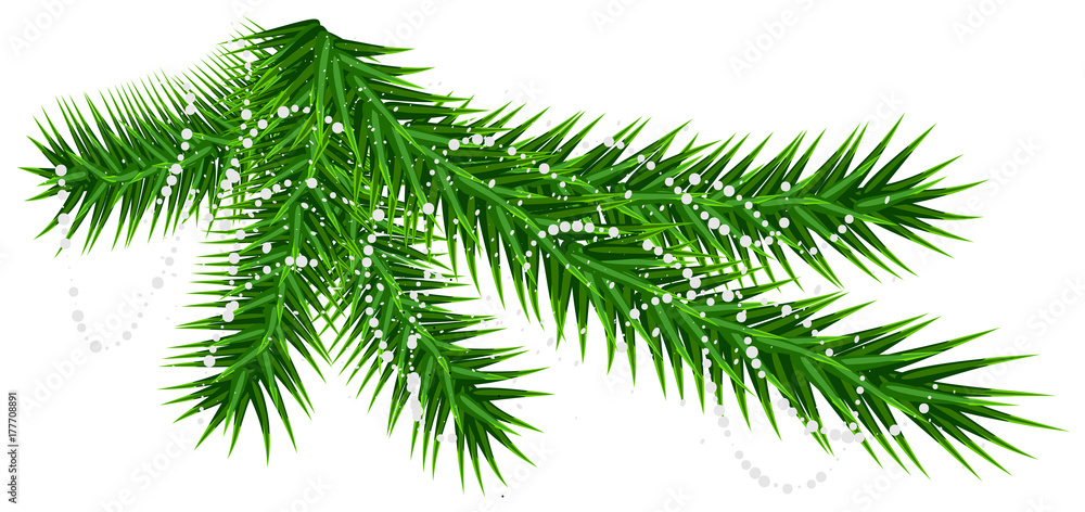 Green pine fir branch and rare snow snowflake