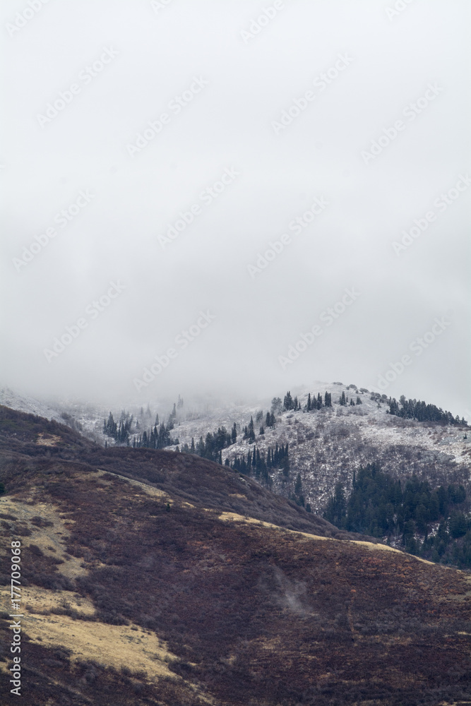 Winter Snow scene in utah wasatch mountains