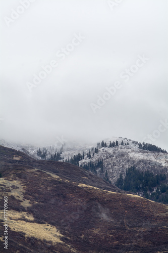 Winter Snow scene in utah wasatch mountains