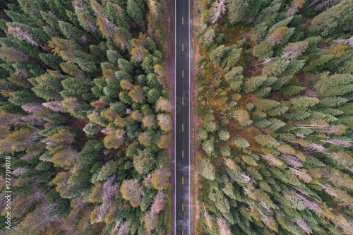 Empty Highway Topdown Arial Drone | Oregon
