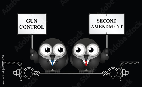 Gun control verses the USA second amendment and the right to keep and bear arms