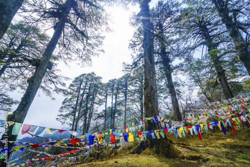 Dochula pass - Bhutan. March 20, 2016