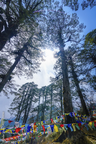 Canvas Print Dochula pass - Bhutan. March 20, 2016