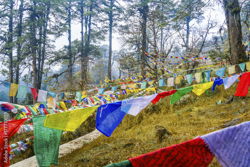 Dochula pass - Bhutan. March 20, 2016
