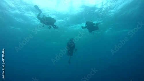 Wallpaper Mural Three scuba diver hang under surface water on the safety stop
 Torontodigital.ca