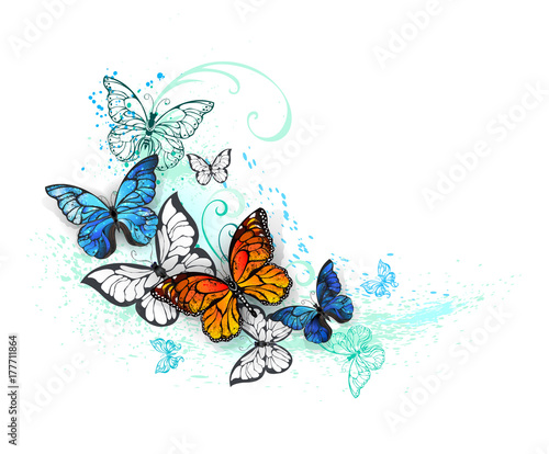 Artistic Morpho and monarchs