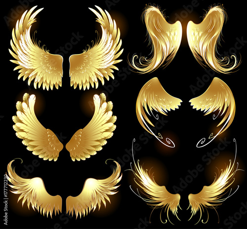 Golden Wings of Angels.