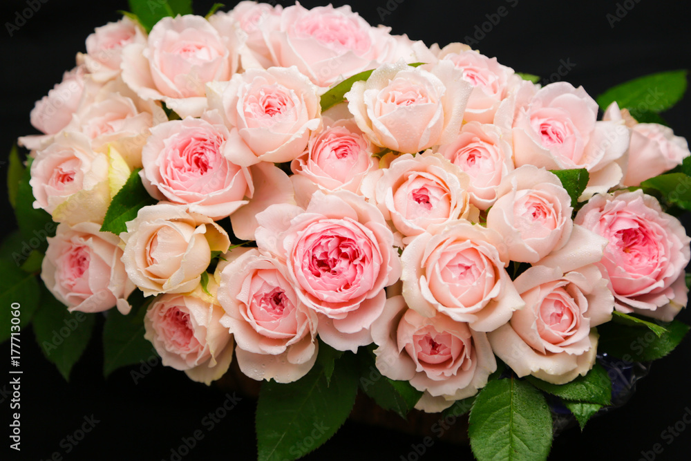 ピンクバラ30本のアレンジメント 品種 ヒカル Stock Photo Adobe Stock