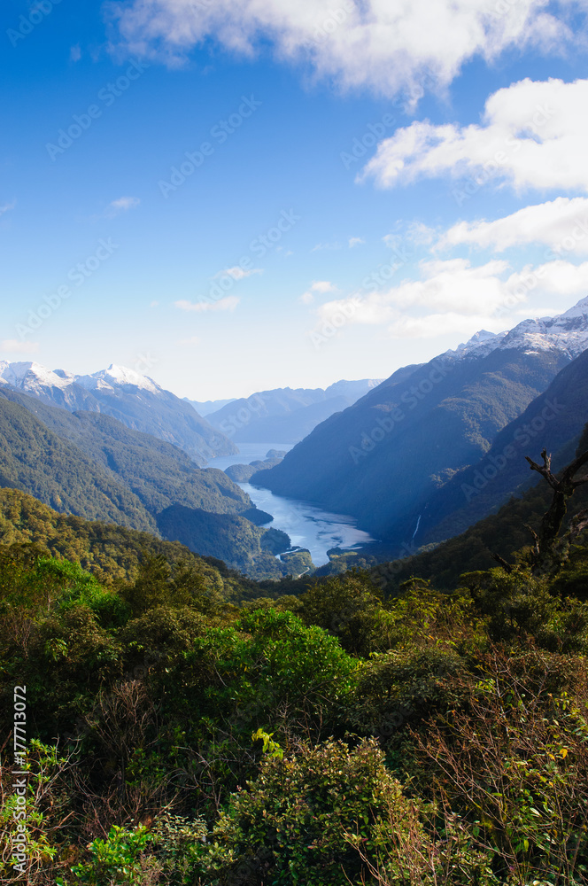 Obraz premium Doubtful Sound