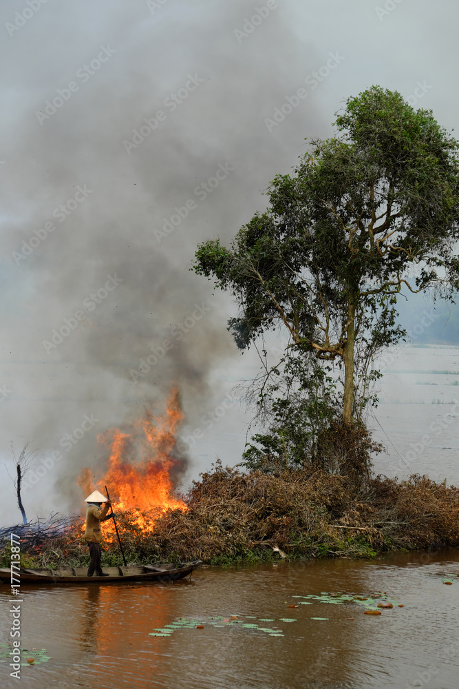 Fototapeta premium Asian woman on row boat, burn dry tree