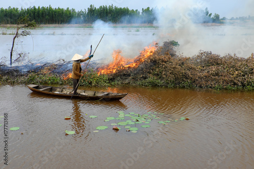 Asian woman on row boat, burn dry tree