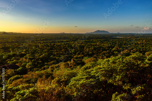 Aerial view of tropical forest of Sri Lanka