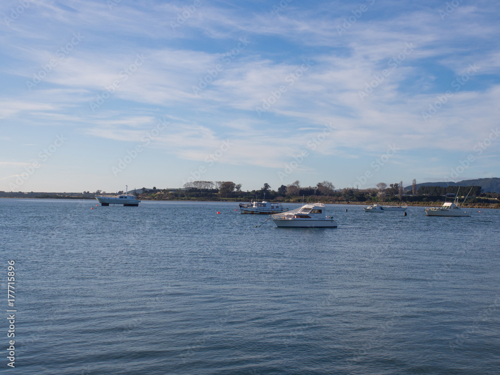 Boats In The Harbour